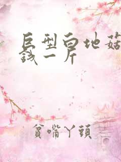 巨型白地菇多少钱一斤