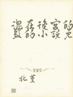 混在后宫的假太监的小说免费阅读