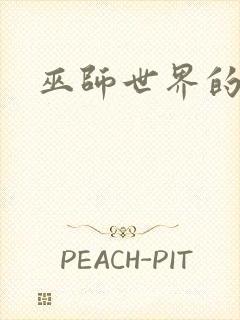 巫师世界的法师