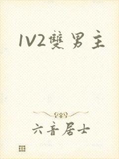 1V2双男主