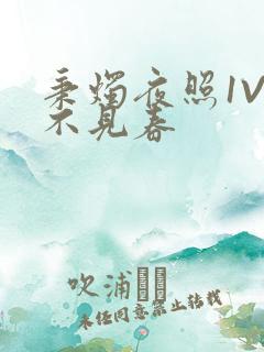 秉烛夜照1V2不见春