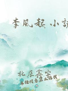李风起 小说