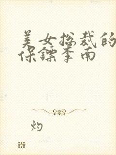 美女总裁的护花保镖李南