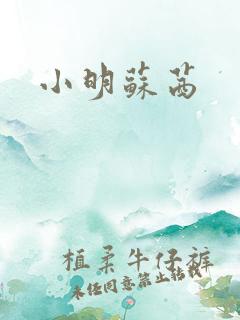 小明苏茜