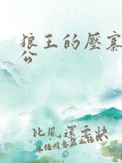 狼王的压寨小相公