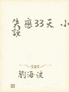 失恋33天 小说