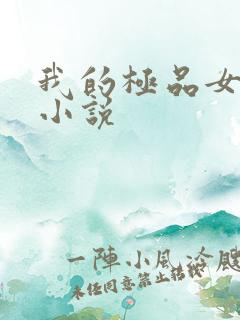 我的极品女老师小说