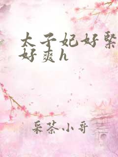 太子妃好紧皇上好爽h