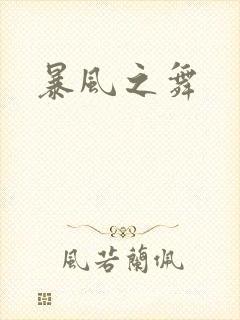 暴风之舞