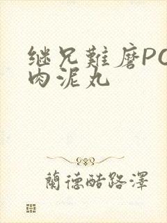 继兄难磨PO猪肉泥丸