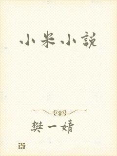 小米小说