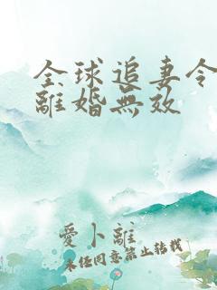 全球追妻令老婆离婚无效