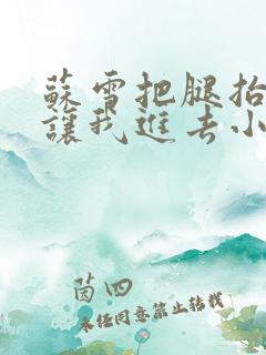 苏雪把腿抬起来让我进去小说