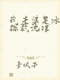 我老婆是冰山女总裁沈浪