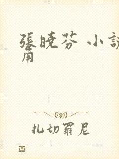 张晓芬 小说主角