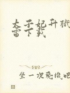 太子妃升职记迅雷下载