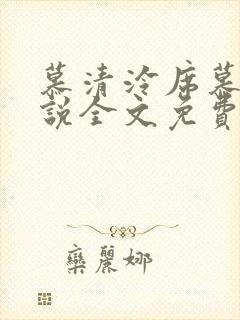 慕清泠席慕深小说全文免费阅读
