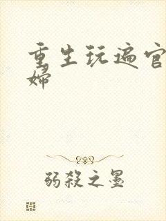 重生玩遍官场贵妇