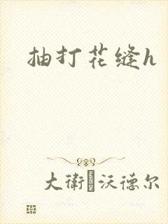 抽打花缝h