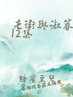 老卫与淑蓉1一12集