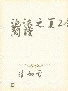 泡沫之夏2全文阅读