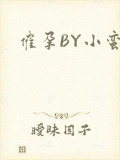 催孕BY小蛮腰