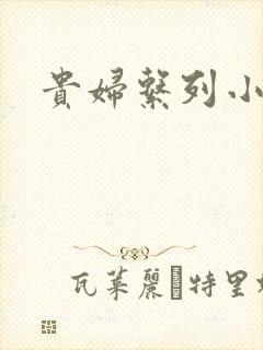 贵妇系列小多美