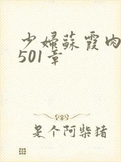 少妇苏霞肉欲第501章