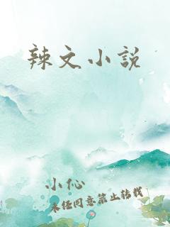 辣文小说