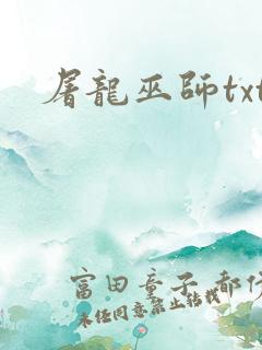 屠龙巫师txt