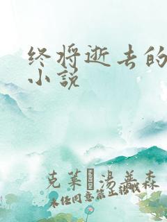 终将逝去的青春小说