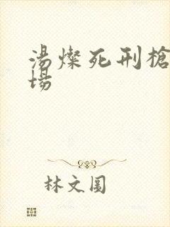 汤灿死刑枪决现场