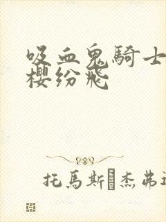 吸血鬼骑士之落樱纷飞