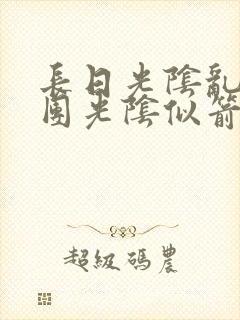 长日光阴乱作一团光阴似箭眇眇