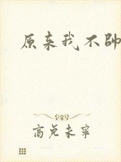 原来我不帅小说