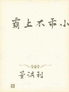 霸上不乖小逃妻