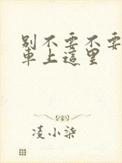 别不要不要在公车上这里