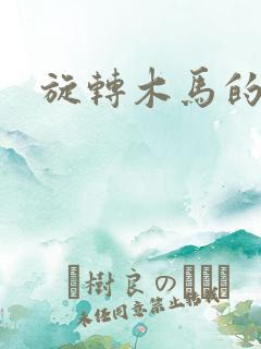 旋转木马的鏖战