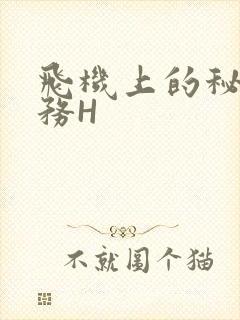 飞机上的秘密服务H