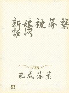 新娘被辱系列小说网