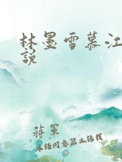 林墨雪慕江行小说