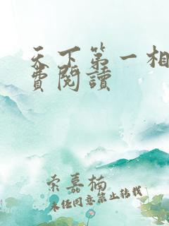 天下第一相书免费阅读