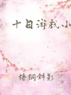 十日游戏小说