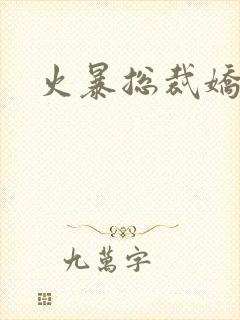 火暴总裁娇柔妻