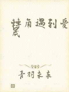 转角遇到爱 李晟