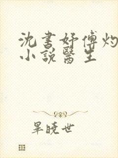 沈书妤傅灼抖音小说医生