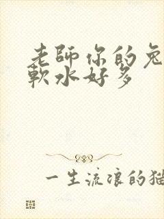 老师你的兔子好软水好多