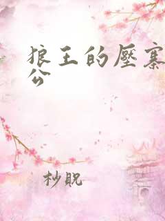 狼王的压寨小相公