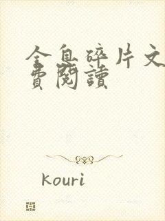 全息碎片文轩免费阅读