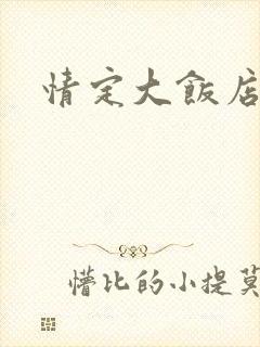 情定大饭店同人